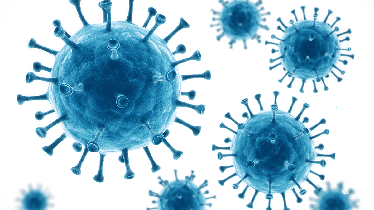 Luta contra a pandemia do novo coronavírus